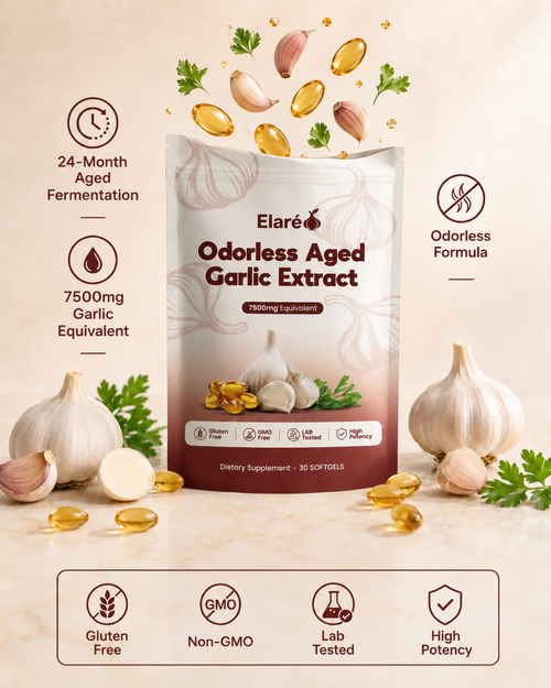 Aged Garlic Extract – 7500mg Odorless Softgels
