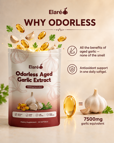 Aged Garlic Extract – 7500mg Odorless Softgels